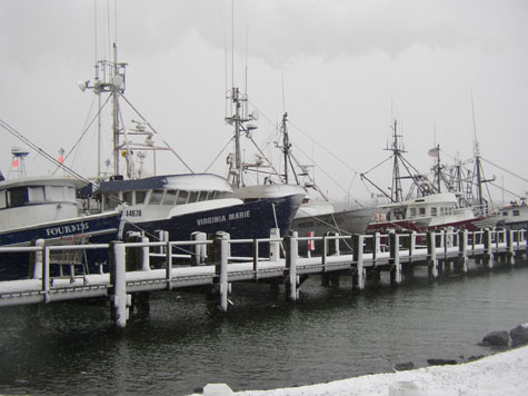 Snowy Boats