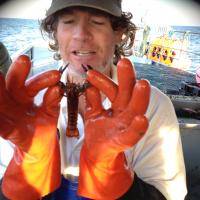 Lobster research
